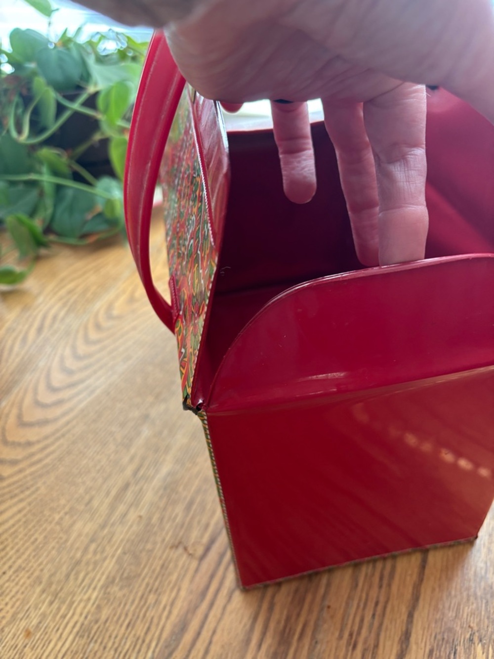 Vintage Red Paisley vinyl Case with Top Handle - Picture 14 of 17